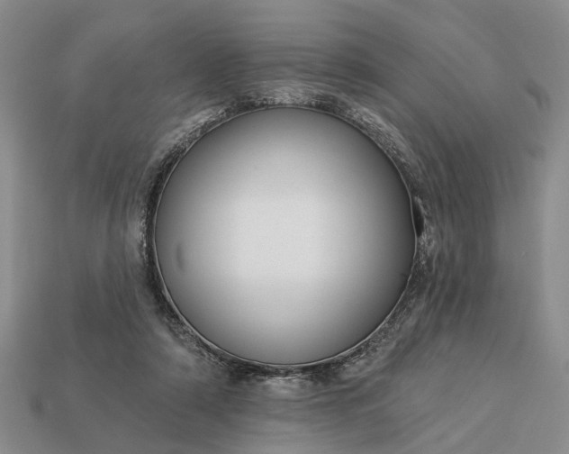 X0000113270306200909241548