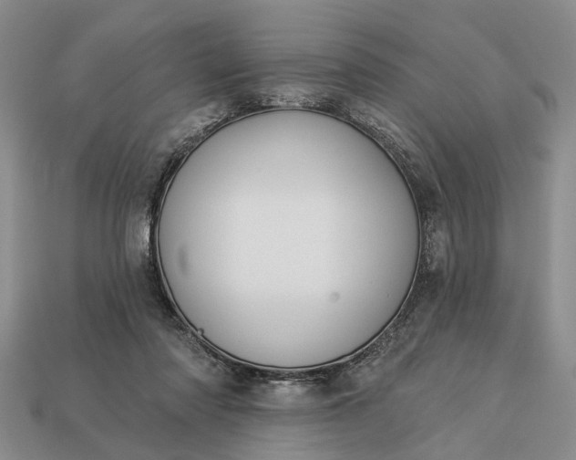 X0000113270310200909241548