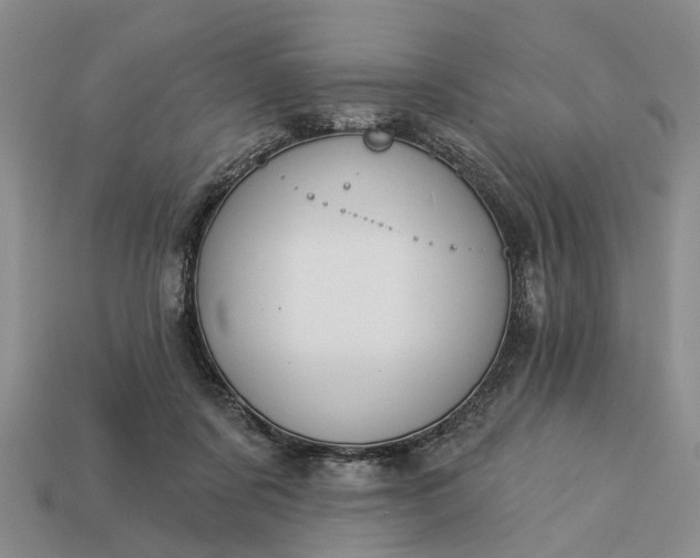 X0000113270311200909241548