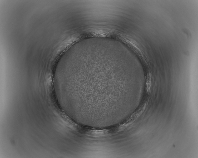 X0000113270314200909241548