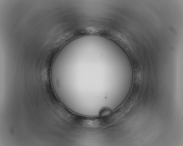 X0000113270317200909241548