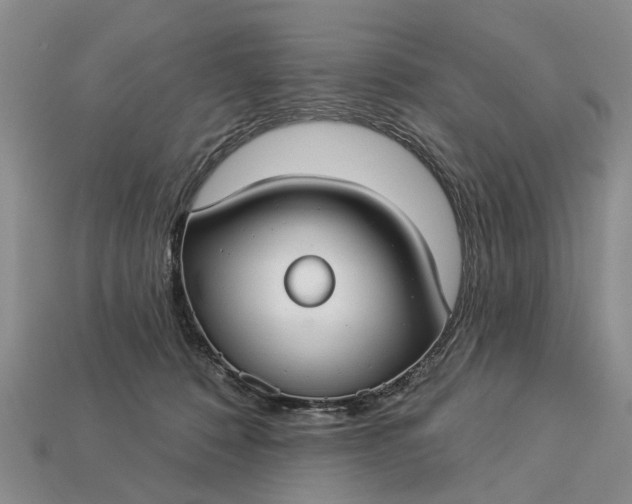 X0000113270320200909241548