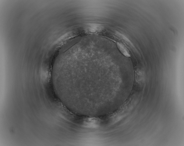 X0000113270324200909241548