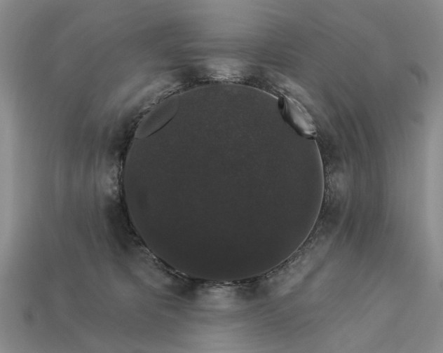 X0000113270325200909241548