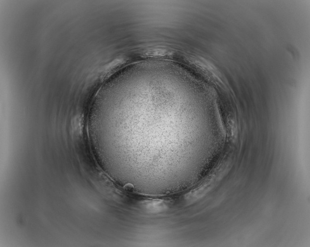 X0000113270326200909241548