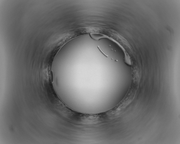 X0000113270329200909241548