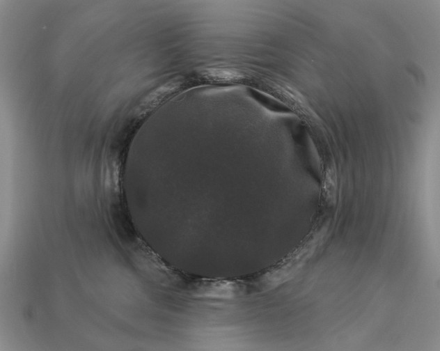 X0000113270330200909241548