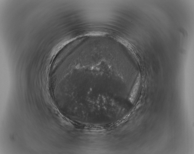 X0000113270337200909241547