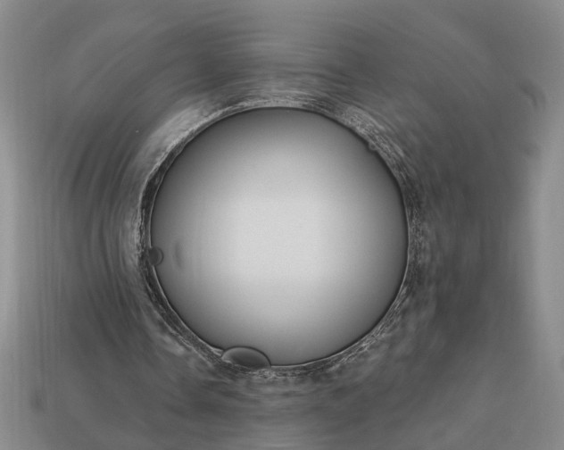 X0000113270338200909241547