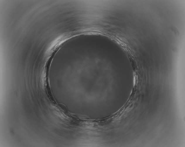 X0000113270339200909241547