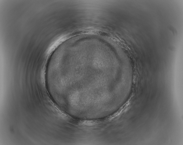 X0000113270341200909241547