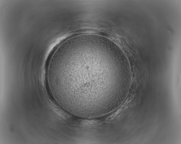 X0000113270342200909241547