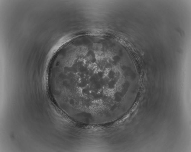 X0000113270343200909241547