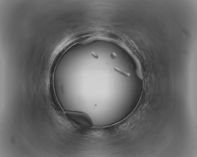 X0000113270344200909241547