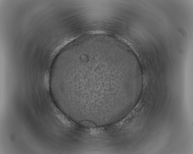 X0000113270345200909241548