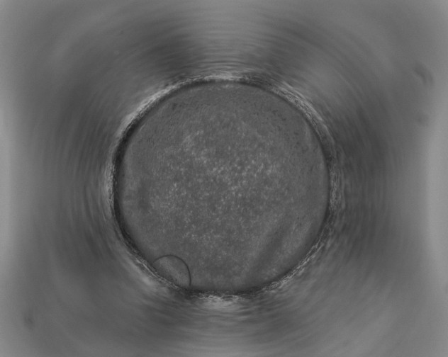 X0000113270346200909241548