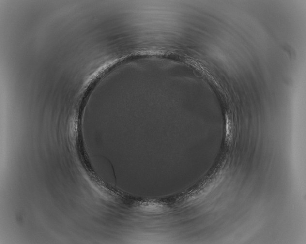 X0000113270348200909241548