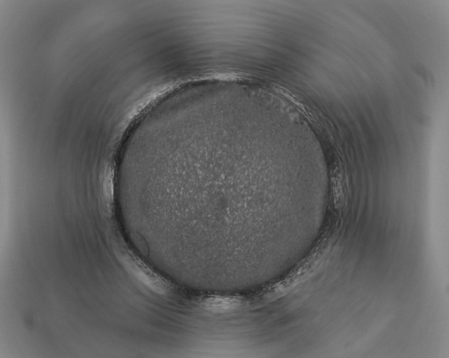 X0000113270350200909241548