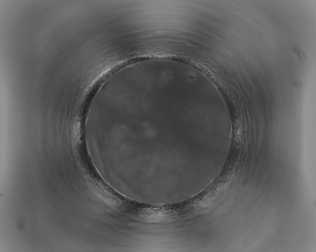 X0000113270351200909241548