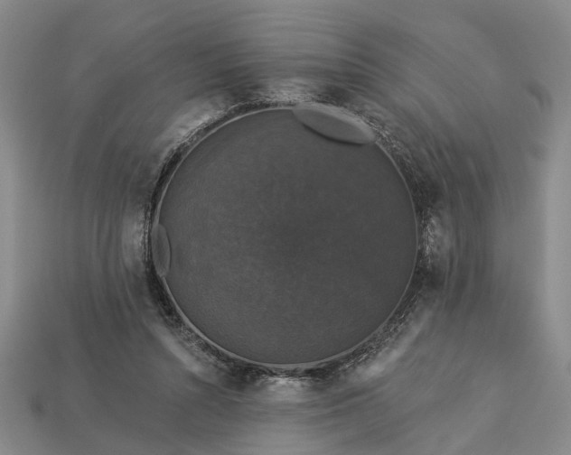 X0000113270352200909241548