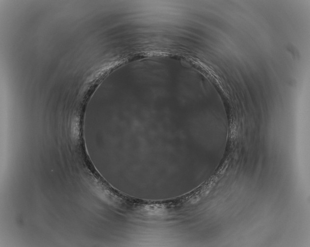 X0000113270353200909241548