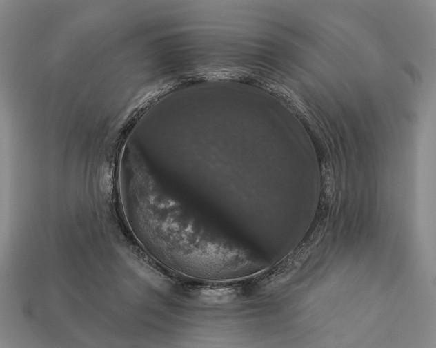 X0000113270357200909241548