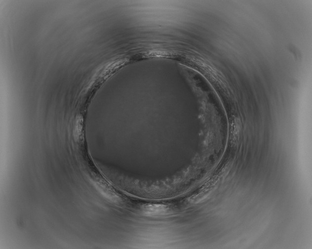 X0000113270361200909241548