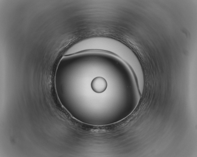 X0000113270362200909241548