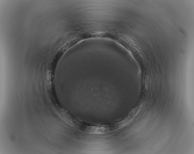 X0000113270366200909241548