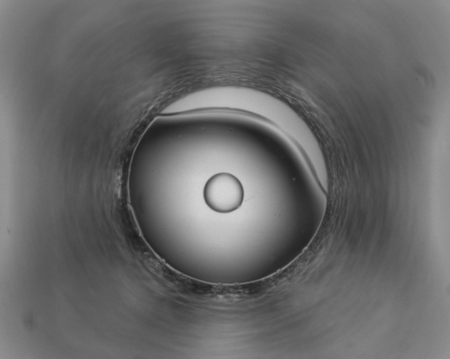 X0000113270368200909241548