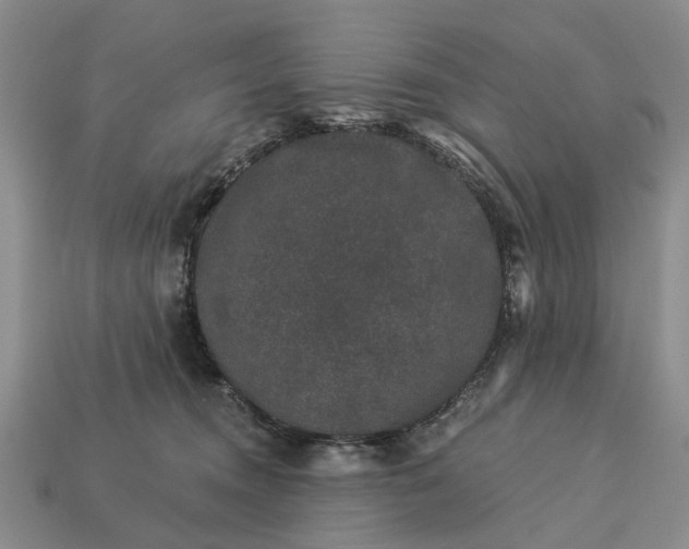 X0000113270372200909241548