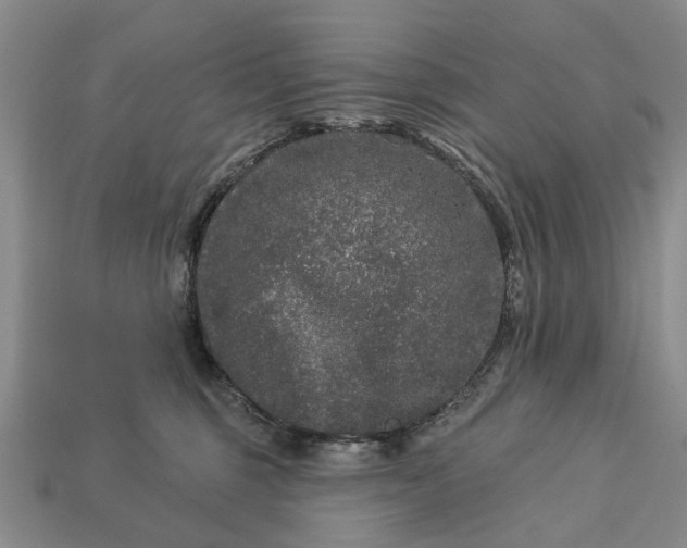 X0000113270375200909241548