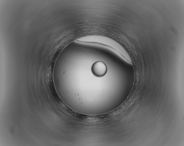 X0000113270376200909241548