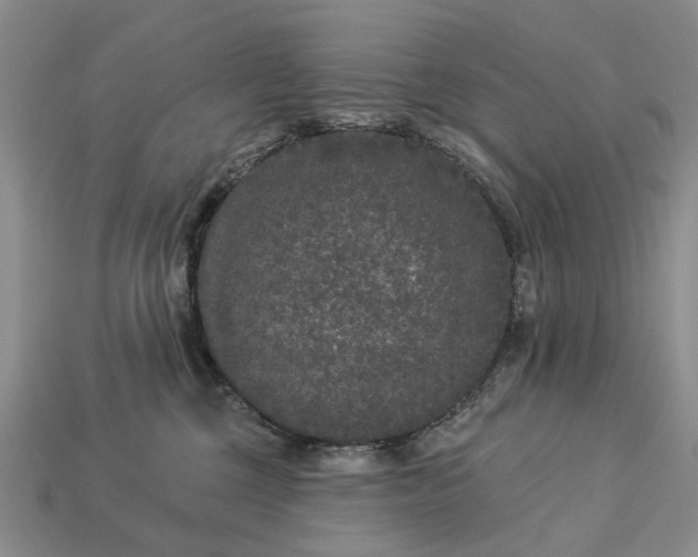 X0000113270377200909241548