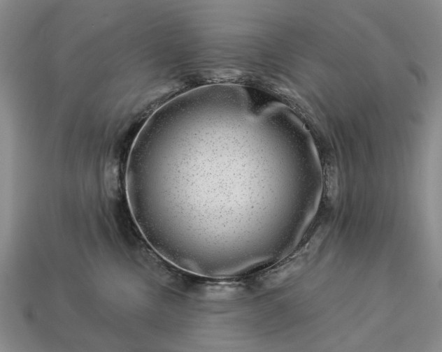 X0000113270378200909241548