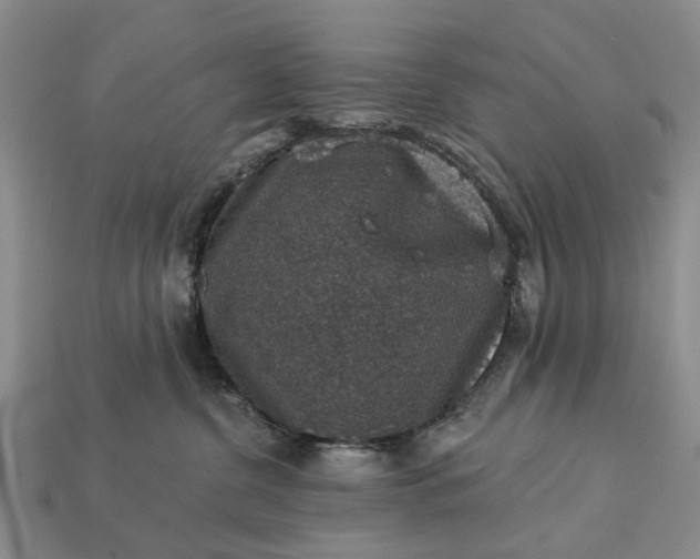 X0000113270380200909241548