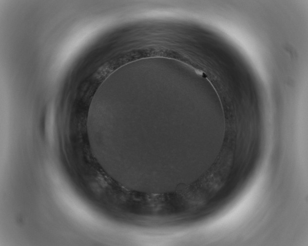 X0000113270382200909241548