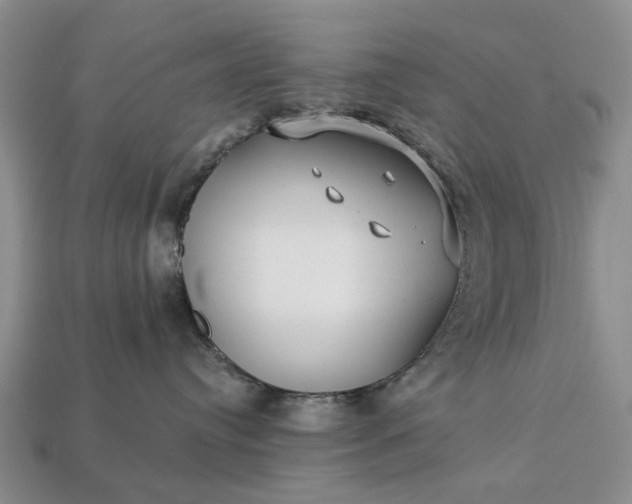 X0000113270384200909241548