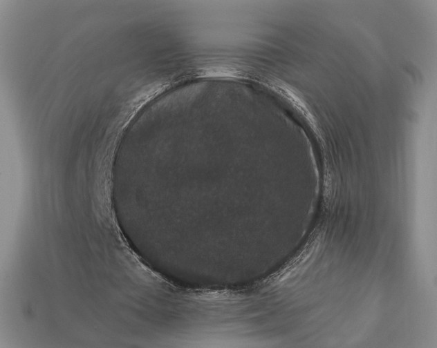 X0000113270385200909241547