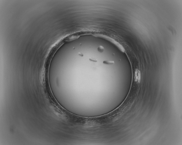 X0000113270388200909241547