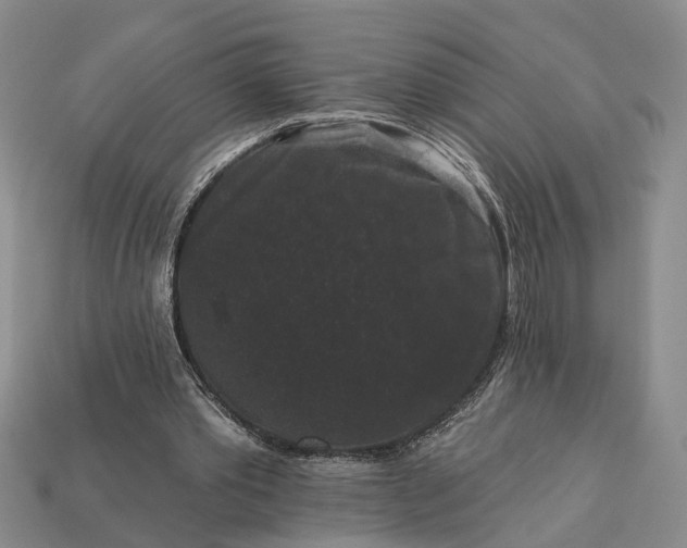 X0000113270389200909241547