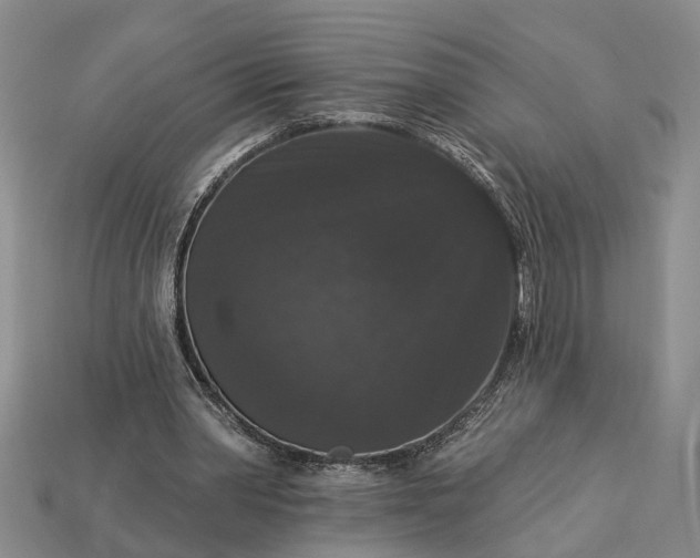 X0000113270390200909241547