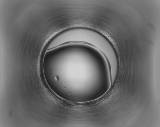 X0000113270391200909241547