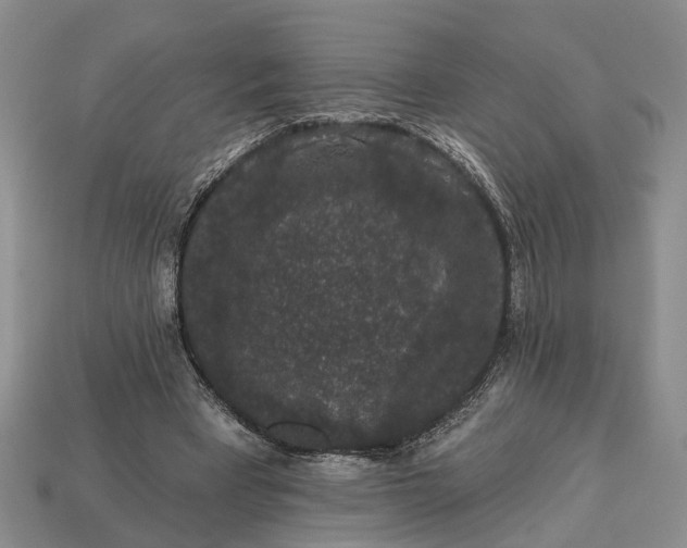 X0000113270393200909241547