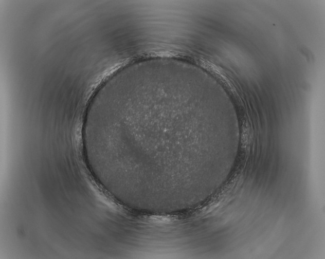 X0000113270394200909241547