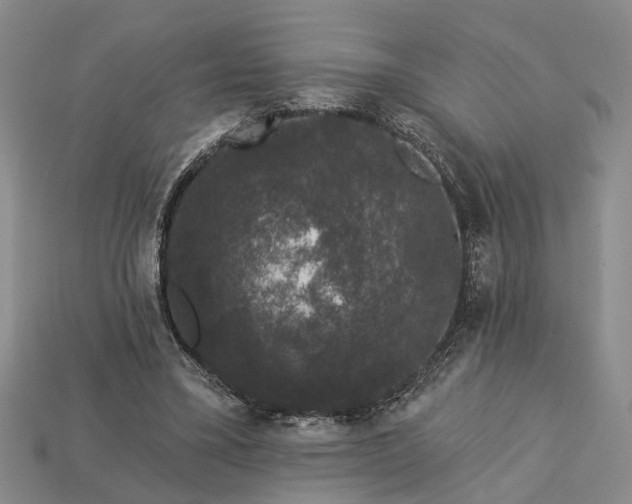 X0000113270395200909241547