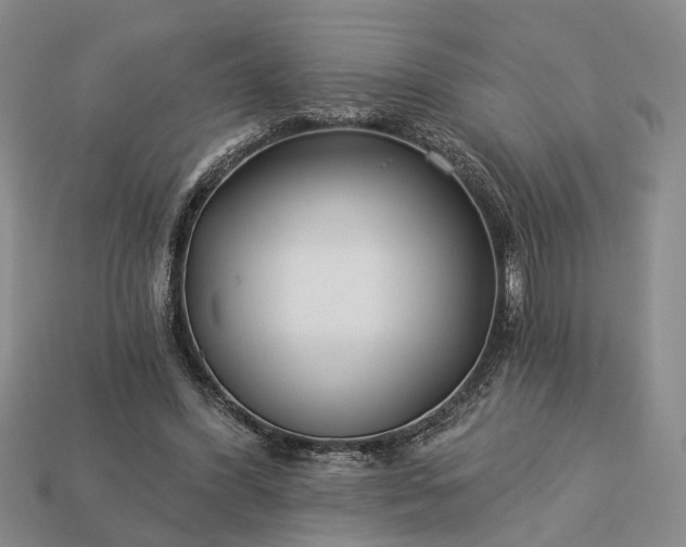 X0000113270396200909241547