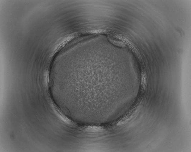 X0000113270397200909241547