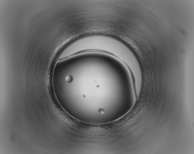 X0000113270399200909241547