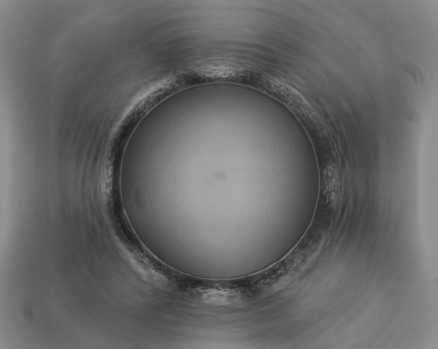 X0000113270400200909241547